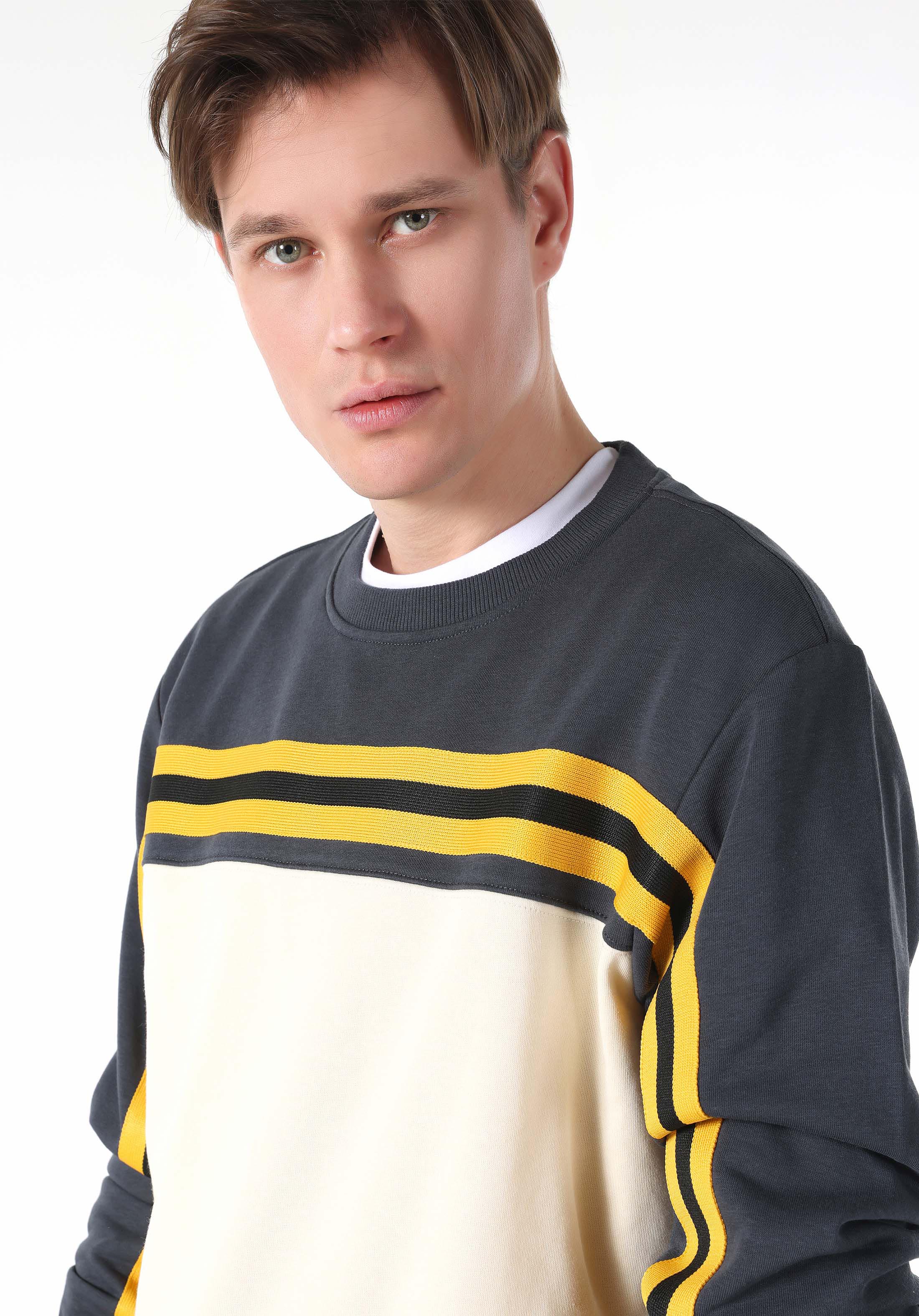 Afficher les détails de Beige Homme Pull-over