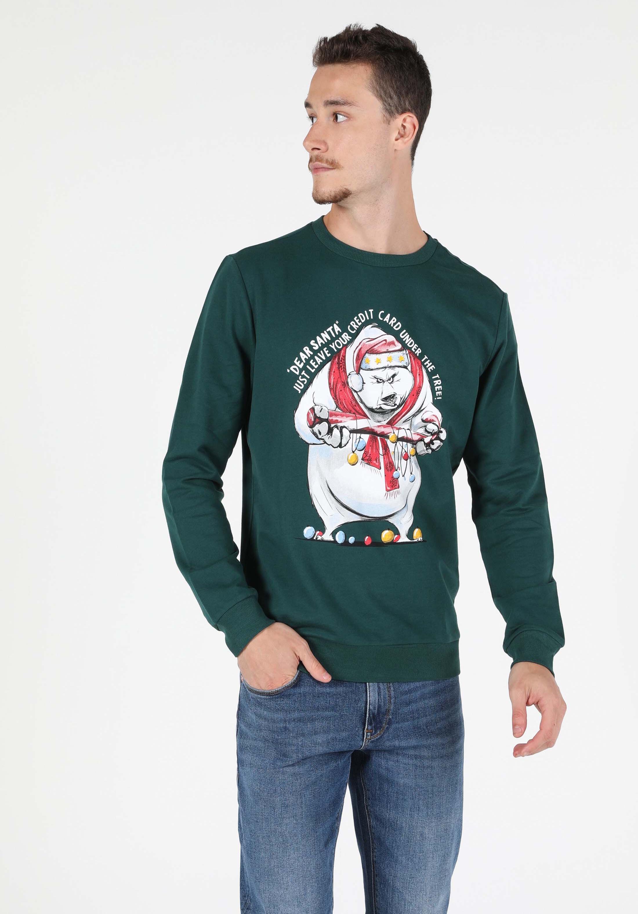 Afficher les détails de Vert Homme Pull-over