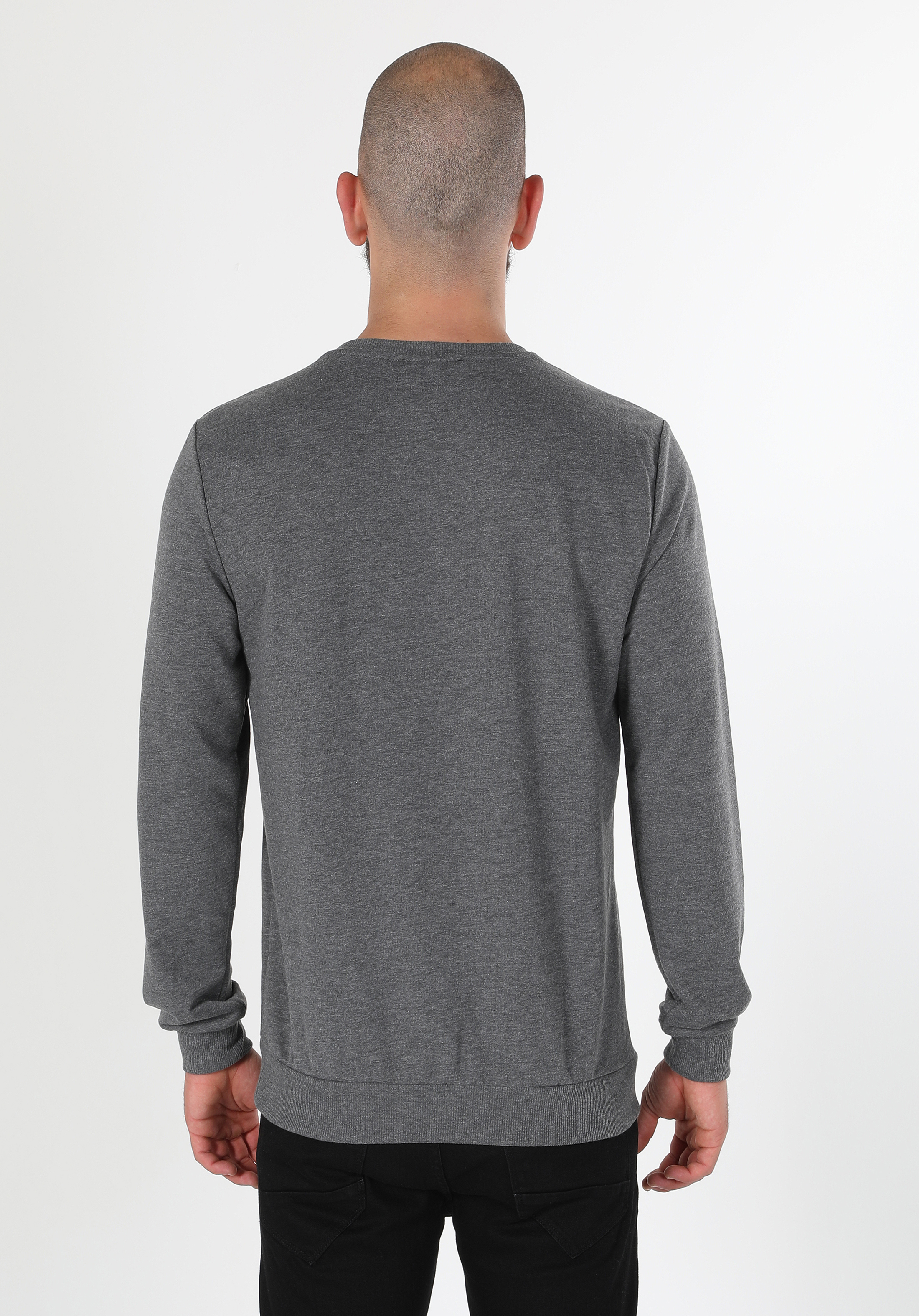 Afficher les détails de Sweatshirt Anthracıte Regular Fit Pour Homme Cl1060121