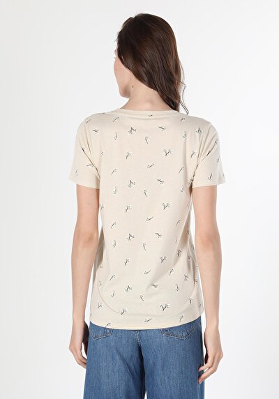 Image de T-shirt À Manches Courtes Ecru   Femme