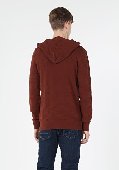 Image de Pull Marron Regular Fit   Homme