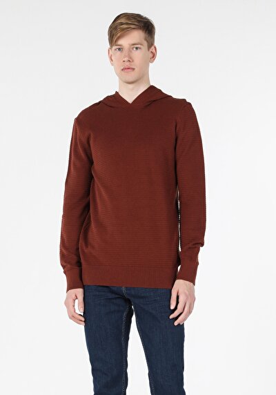 Image de Pull Marron Regular Fit   Homme