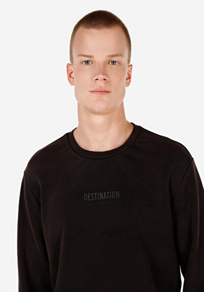 Image de Pull-over Anthracite Regular Fit  Homme