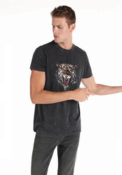 Image de T-shirt À Manches Courtes Anthracite Regular Fit Homme