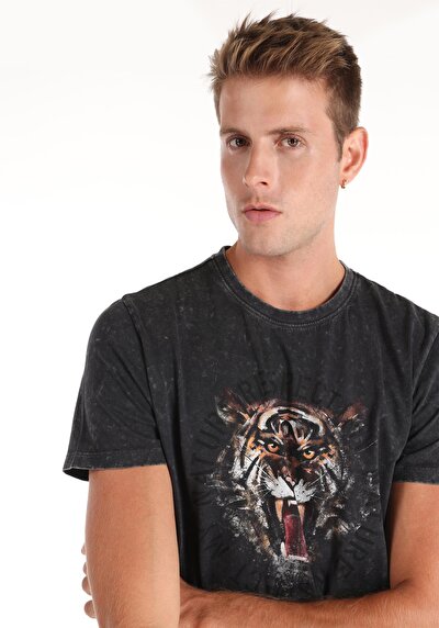 Image de T-shirt À Manches Courtes Anthracite Regular Fit  Homme