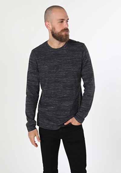 Image de T-shirt À Manches Longues Anthracite Regular Fit  Homme