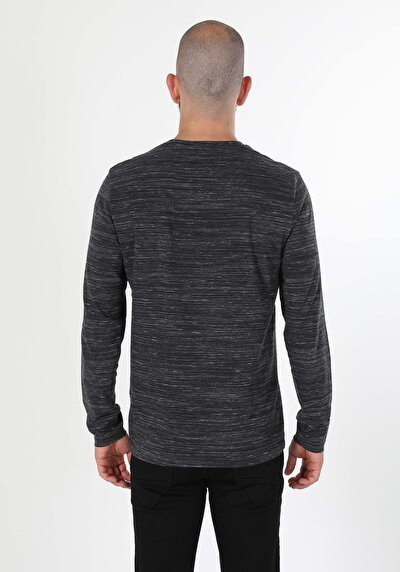 Image de T-shirt À Manches Longues Anthracite Regular Fit  Homme