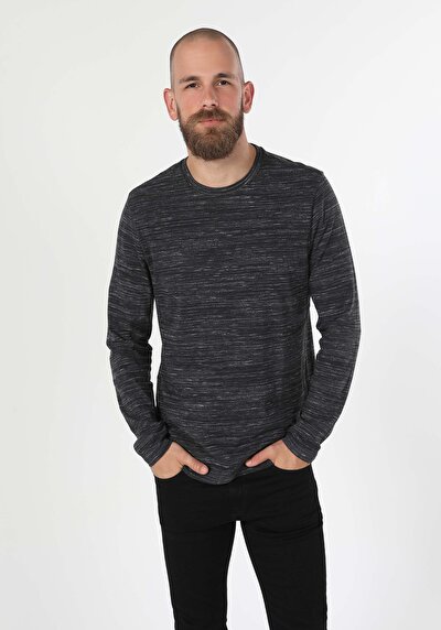 Image de T-shirt À Manches Longues Anthracite Regular Fit  Homme
