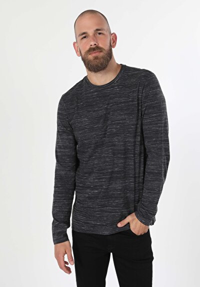 Image de T-shirt À Manches Longues Anthracite Regular Fit  Homme