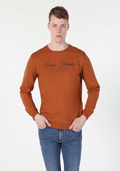 Image de Pull-over Marron Regular Fit  Homme