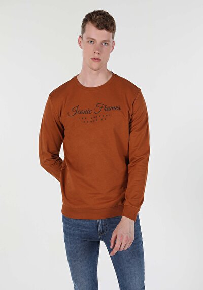 Image de Pull-over Marron Regular Fit  Homme