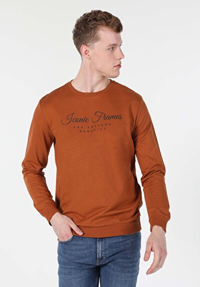 Image de Pull-over Marron Regular Fit  Homme