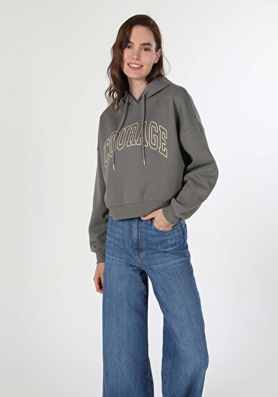 Afficher les détails de Pull-over Gris Regular Fit  Femme