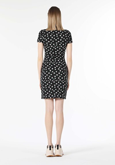 Image de Robe Noir Slim Fit Manches Courtes   Femme