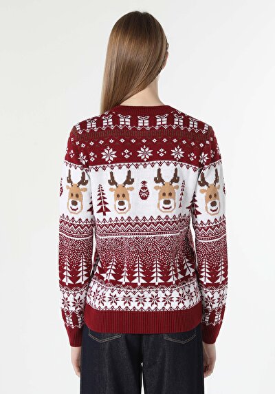 Image de Pull Bordeaux Regular Fit   Femme
