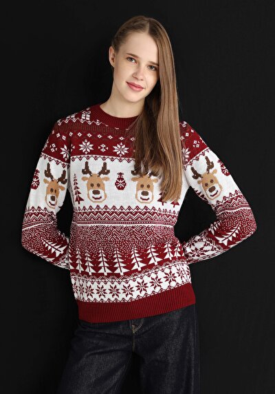 Image de Pull Bordeaux Regular Fit   Femme