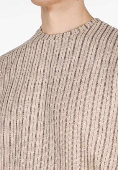 Image de T-shirt À Manches Courtes Beige Comfort Fit Rayé Homme