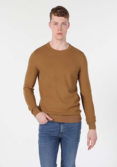 Image de Pull Marron Regular Fit Homme
