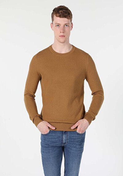 Image de Pull Marron Regular Fit Homme