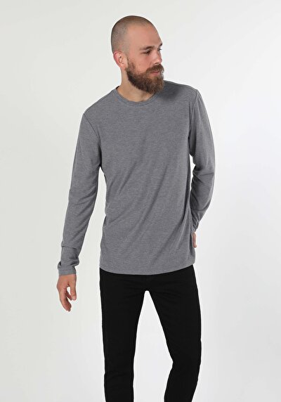 Image de T-shirt À Manches Longues Gris Regular Fit Homme