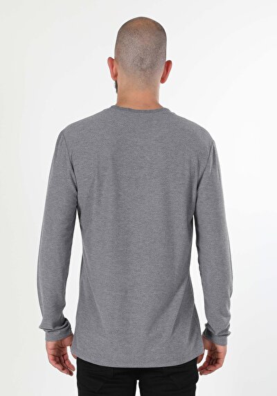 Image de T-shirt À Manches Longues Gris Regular Fit  Homme