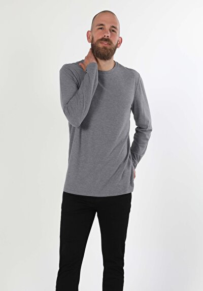 Image de T-shirt À Manches Longues Gris Regular Fit  Homme