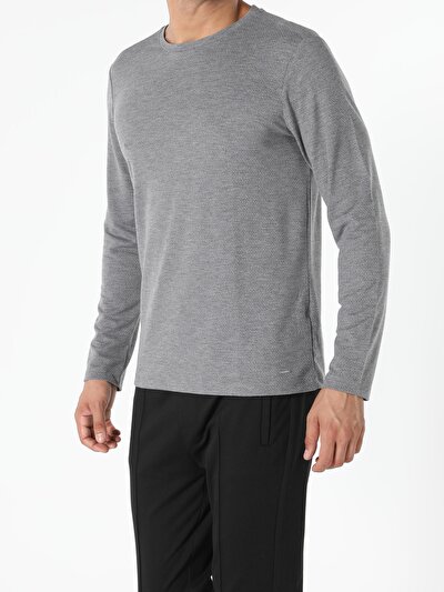 Image de T-shirt À Manches Longues Gris Regular Fit  Homme