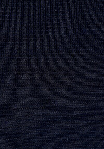 Image de Pull Marine Regular Fit Manches Longues  Homme