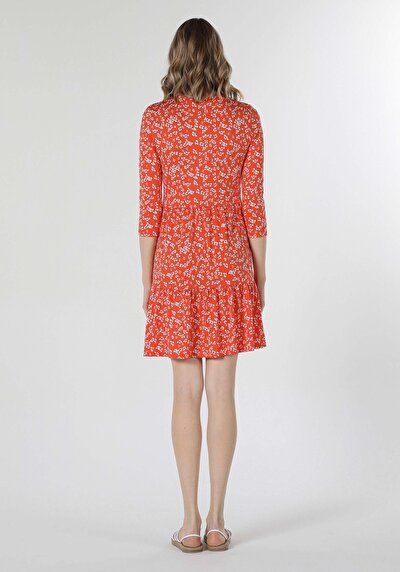 Image de Robe Marron Regular Fit    Femme