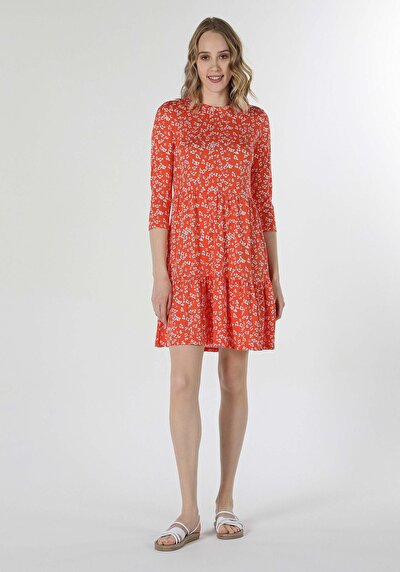 Image de Robe Marron Regular Fit    Femme