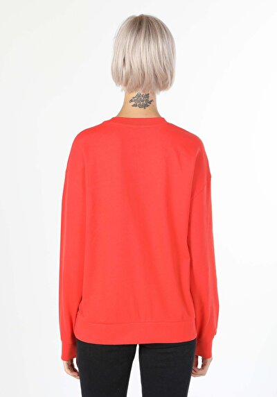 Image de Pull-over Orange Regular Fit  Femme