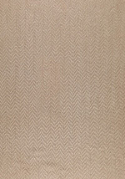 Afficher les détails de Châle Beige Modern Fit Femme