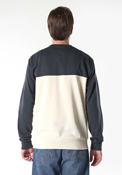 Image de Pull-over Beige   Homme