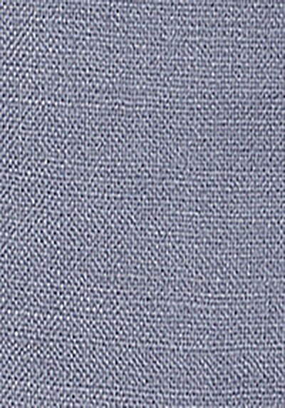 Afficher les détails de Short Bleu Regular Fit Homme
