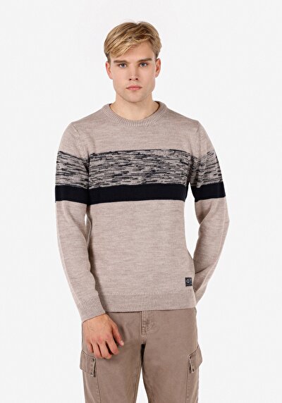 Image de Pull Beige Regular Fit Manches Longues  Homme