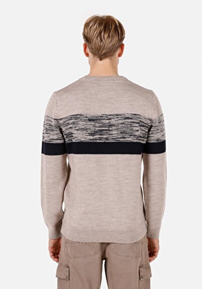 Image de Pull Beige Regular Fit Manches Longues  Homme
