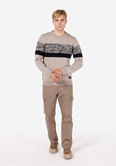 Image de Pull Beige Regular Fit Manches Longues  Homme