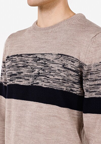 Image de Pull Beige Regular Fit Manches Longues  Homme