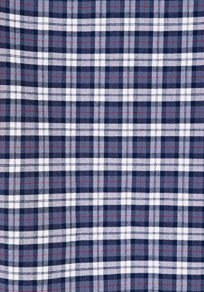 Image de Chemise À Manches Longues Marine Regular Fit Plaid Sergé Homme