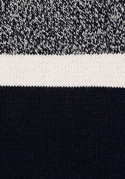 Image de Pull Marine Regular Fit Manches Longues  Homme