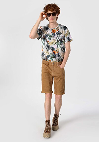 Image de Short Marron Regular Fit Homme
