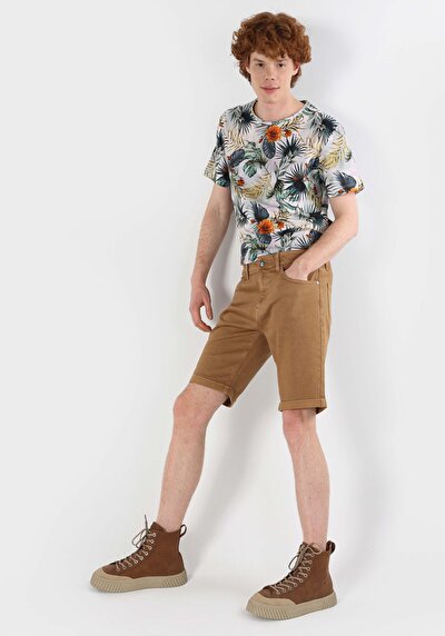 Image de Short Marron Regular Fit Homme