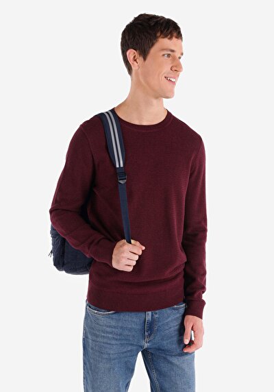 Image de Pull Violet Regular Fit   Homme