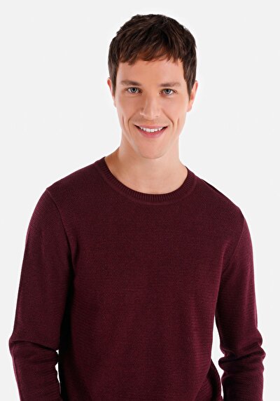 Image de Pull Violet Regular Fit   Homme
