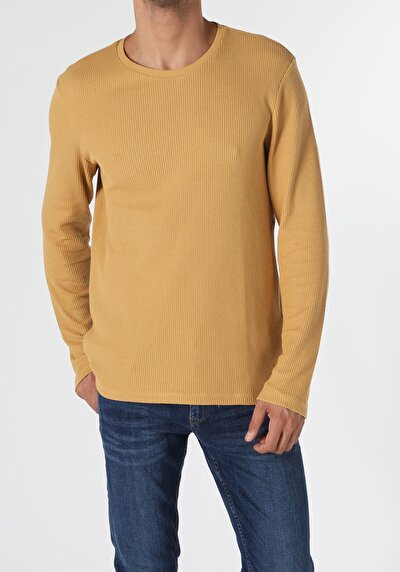 Image de T-shirt À Manches Longues Safran Regular Fit  Homme