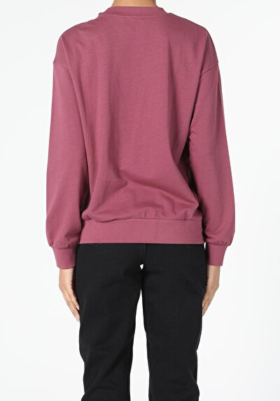 Image de Pull-over Marron Regular Fit  Femme