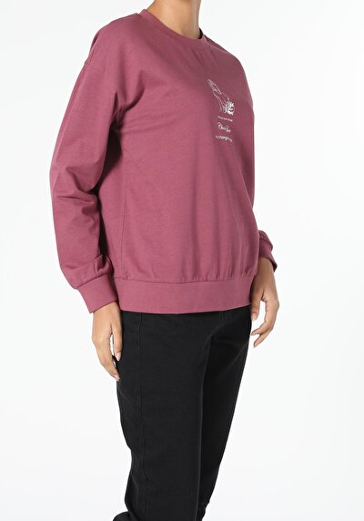 Image de Pull-over Marron Regular Fit  Femme
