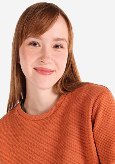 Image de T-shirt À Manches Longues Marron Regular Fit  Femme