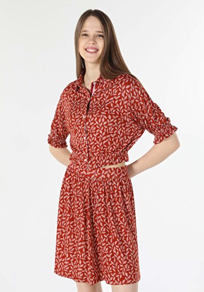 Image de T-shirt À Manches Courtes Marron Regular Fit  Femme