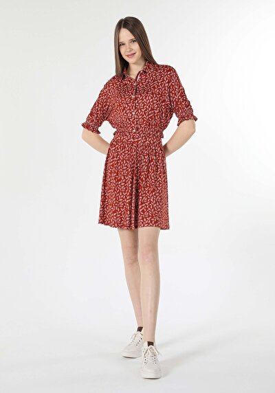 Image de T-shirt À Manches Courtes Marron Regular Fit Femme